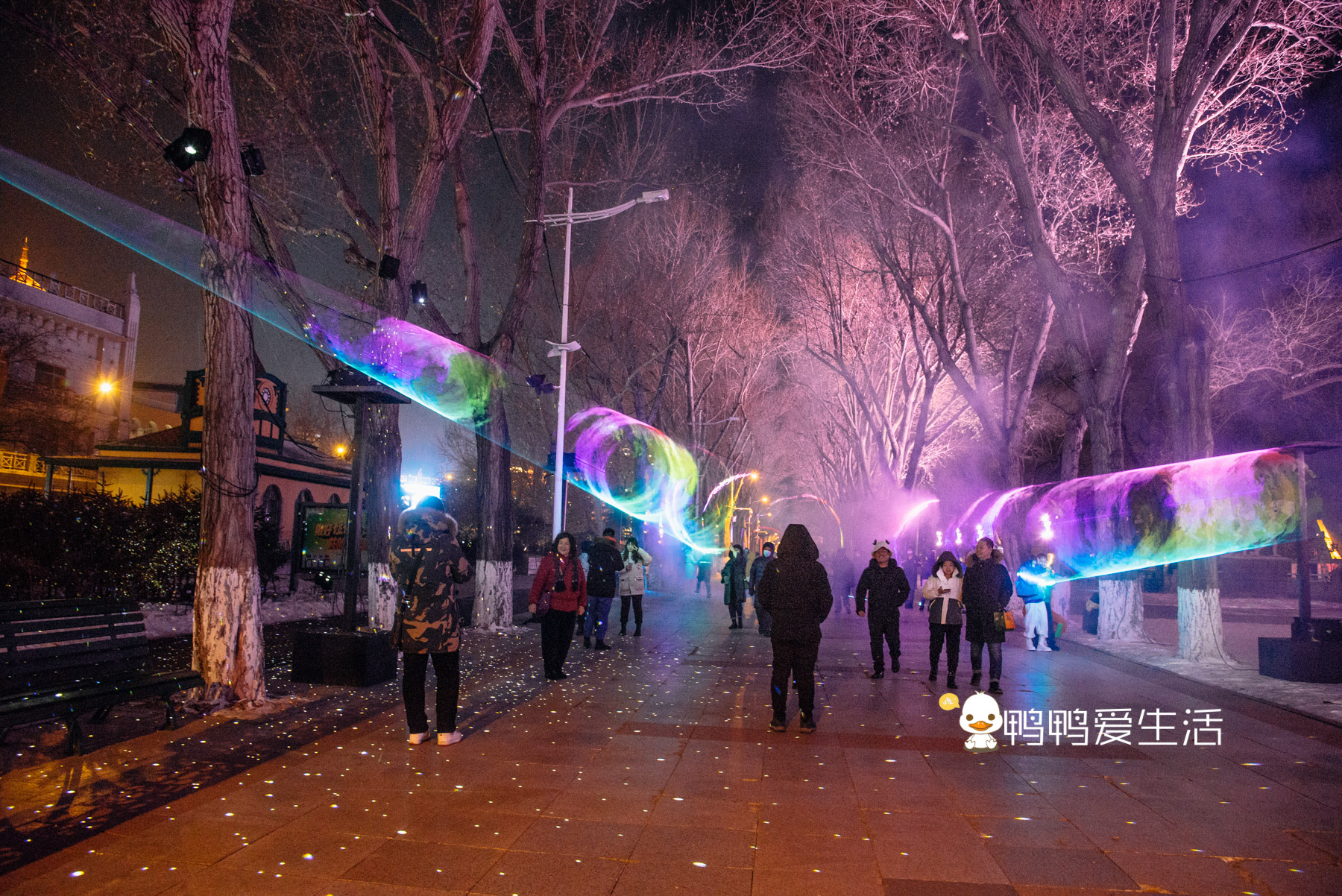 冬季到哈尔滨旅游,“一江一塔一街”推荐打卡,不出国享异域风情