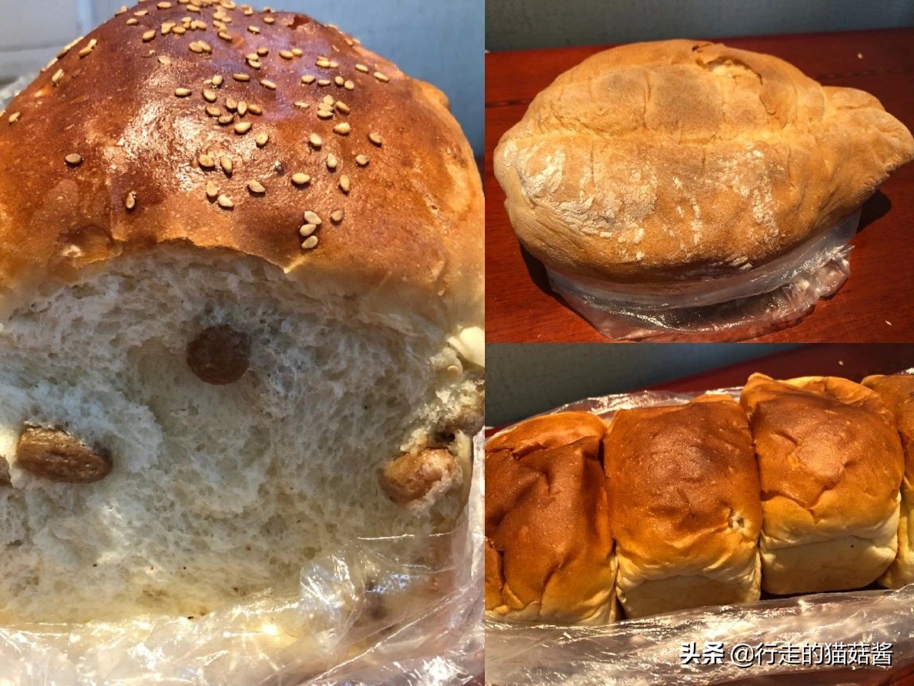 哈尔滨美食打卡指南,这家店异常火爆,居然有人通宵来排队
