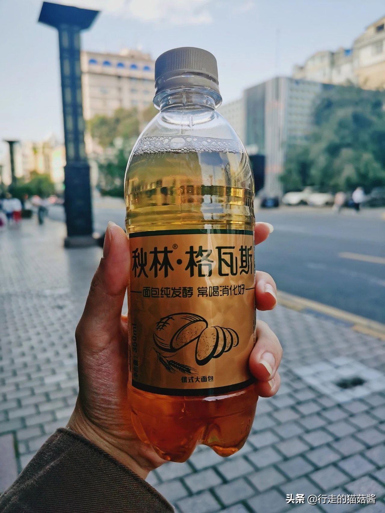 哈尔滨美食打卡指南,这家店异常火爆,居然有人通宵来排队