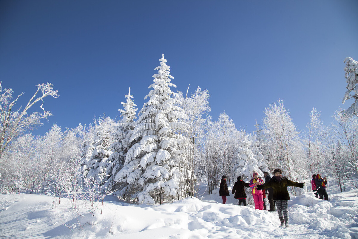 黑龙江共6个5A景区,哈尔滨冰雪大世界并未获评,你共去过几个