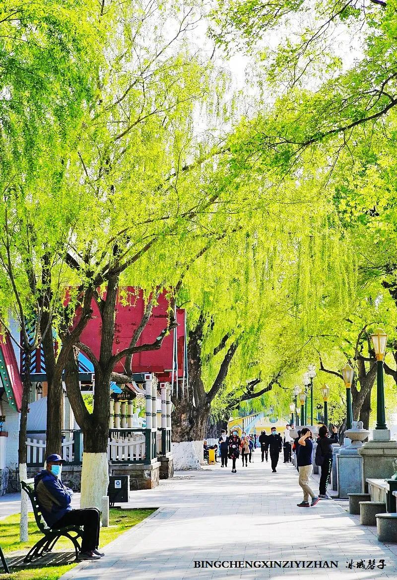 去哈尔滨旅游最应该的地方是哪里?松花江畔的斯大林公园