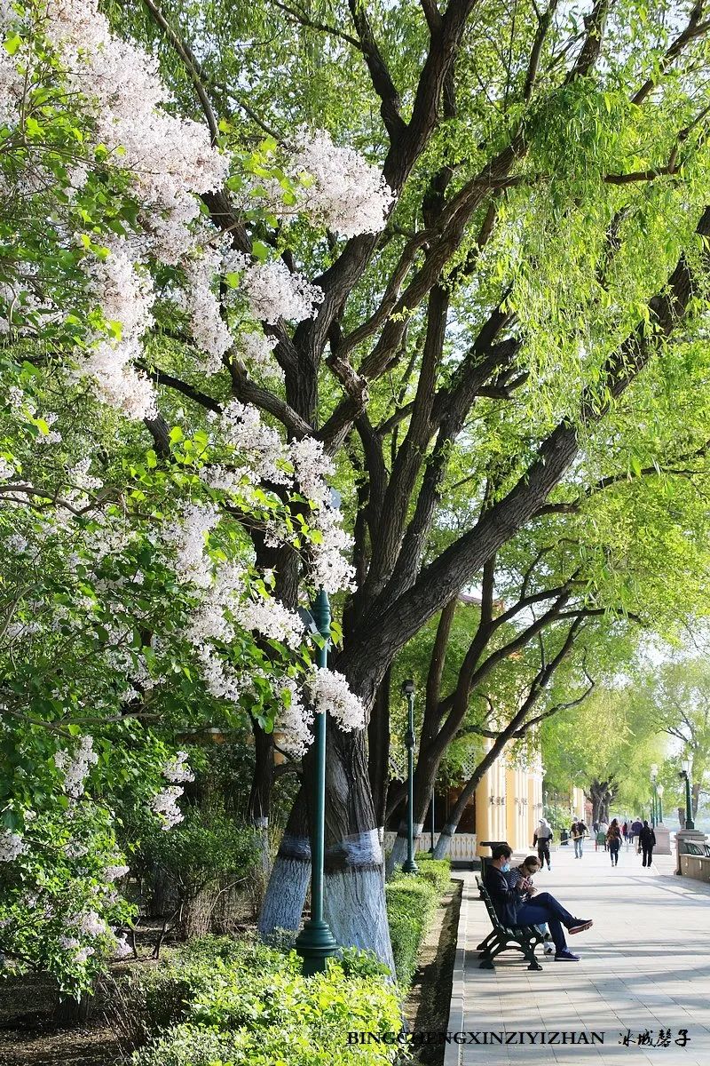 去哈尔滨旅游最应该的地方是哪里?松花江畔的斯大林公园