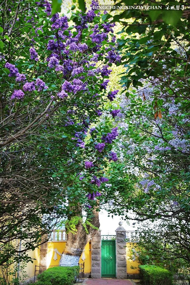 去哈尔滨旅游最应该的地方是哪里?松花江畔的斯大林公园