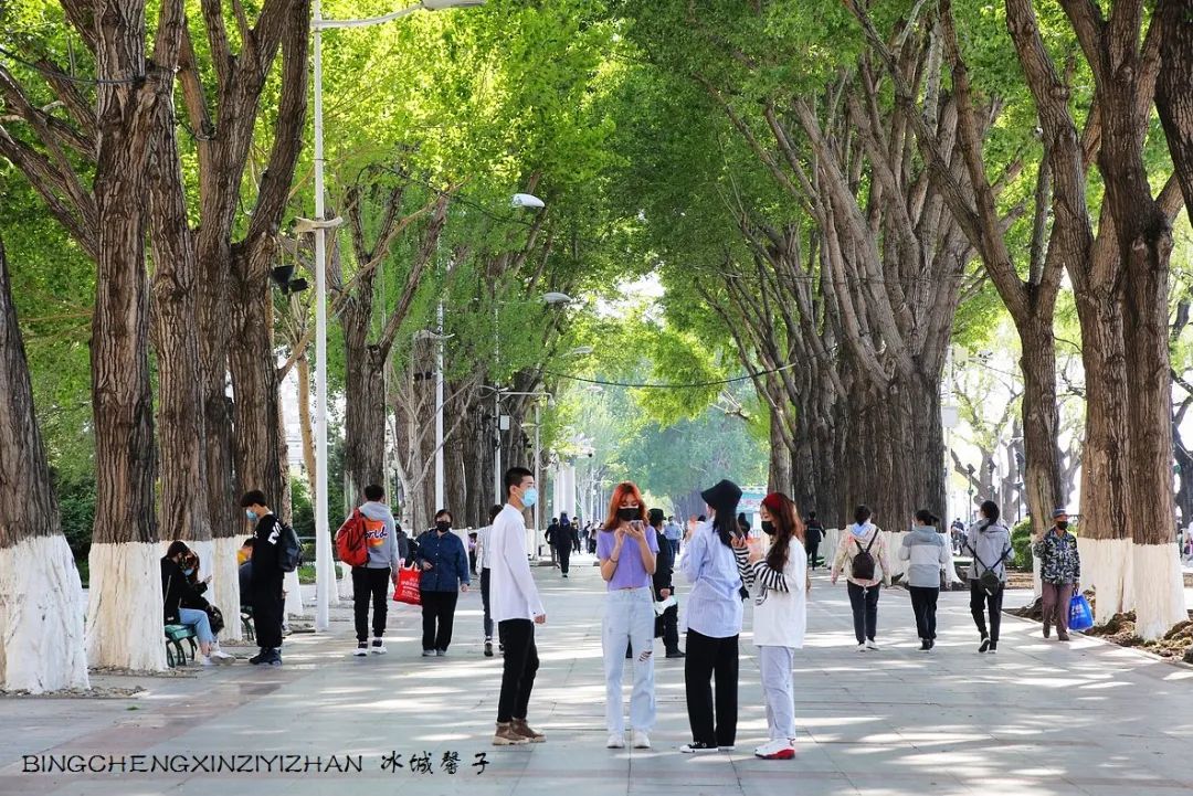 去哈尔滨旅游最应该的地方是哪里?松花江畔的斯大林公园