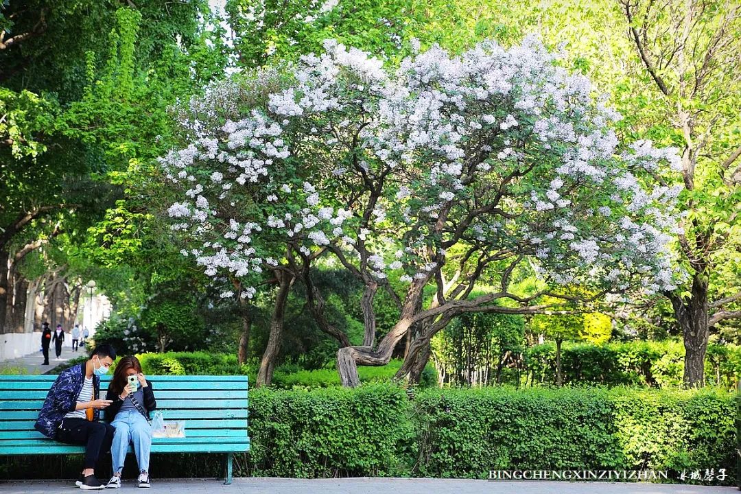 去哈尔滨旅游最应该的地方是哪里?松花江畔的斯大林公园