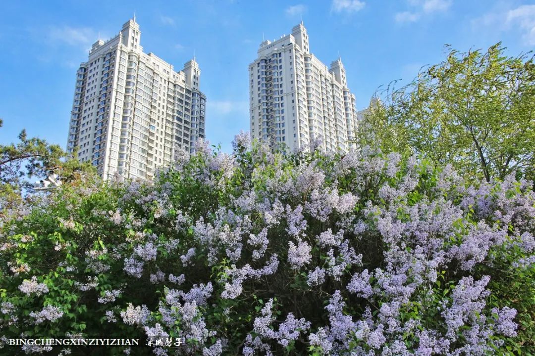 去哈尔滨旅游最应该的地方是哪里?松花江畔的斯大林公园