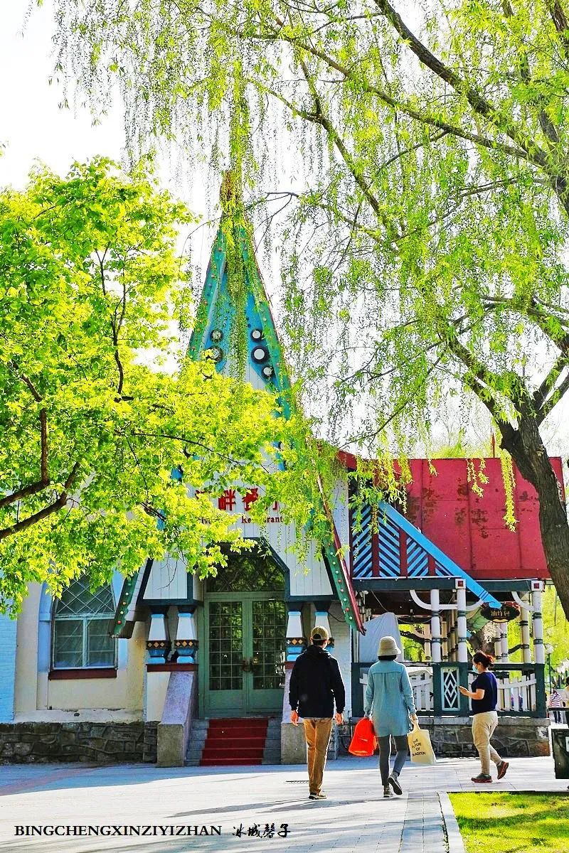 去哈尔滨旅游最应该的地方是哪里?松花江畔的斯大林公园