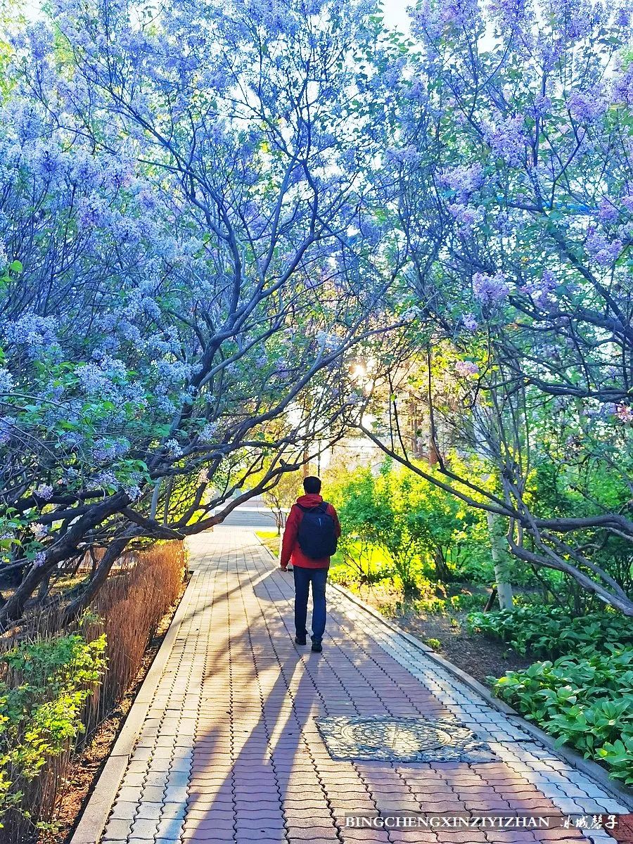 去哈尔滨旅游最应该的地方是哪里?松花江畔的斯大林公园