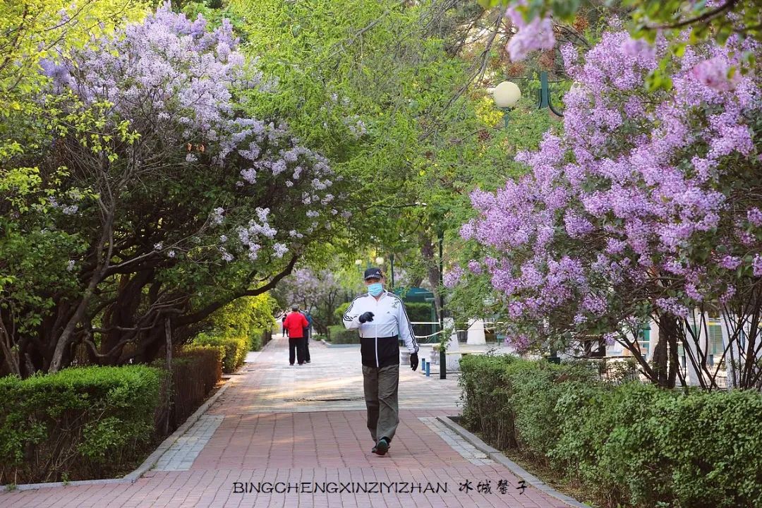 去哈尔滨旅游最应该的地方是哪里?松花江畔的斯大林公园