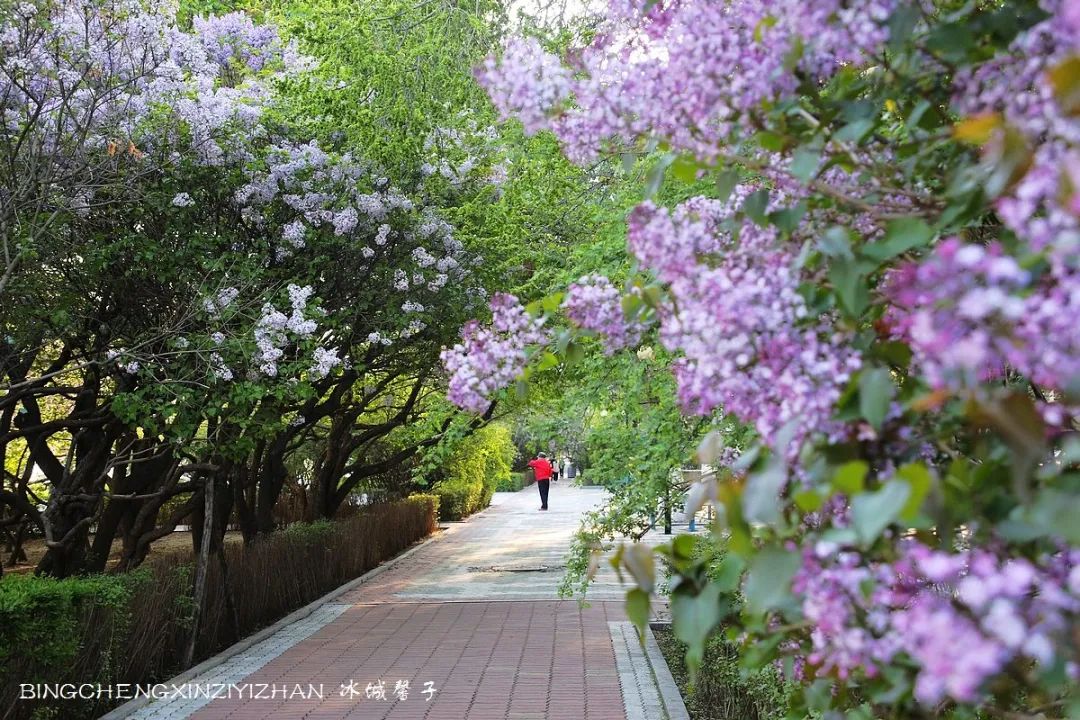 去哈尔滨旅游最应该的地方是哪里?松花江畔的斯大林公园