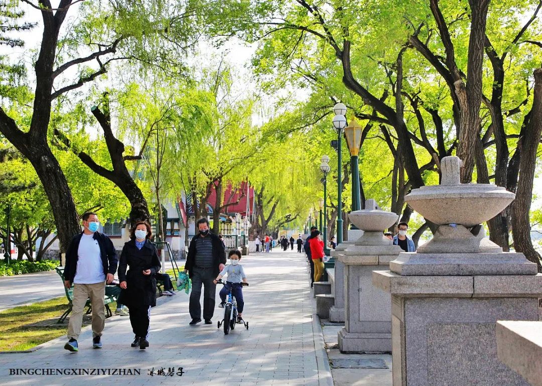 去哈尔滨旅游最应该的地方是哪里?松花江畔的斯大林公园