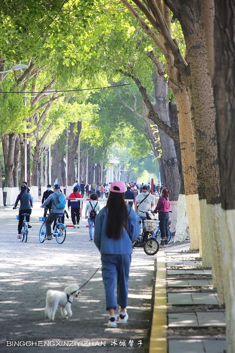 去哈尔滨旅游最应该的地方是哪里?松花江畔的斯大林公园