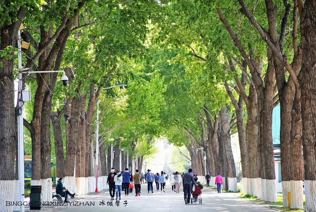 去哈尔滨旅游最应该的地方是哪里?松花江畔的斯大林公园