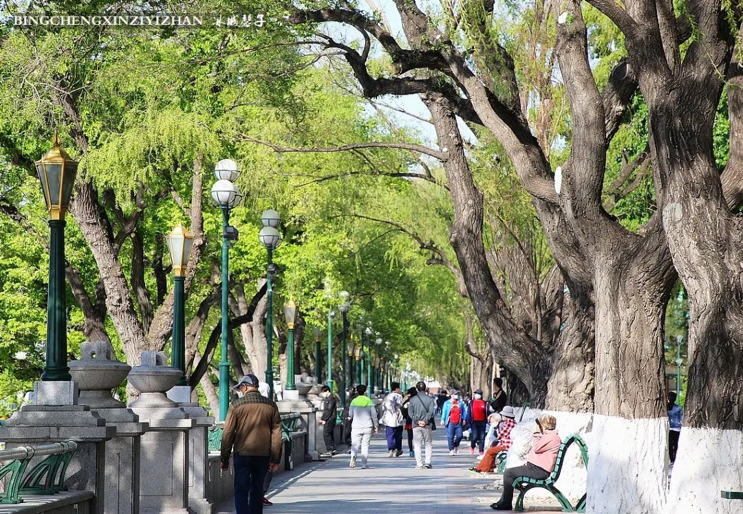 去哈尔滨旅游最应该的地方是哪里?松花江畔的斯大林公园