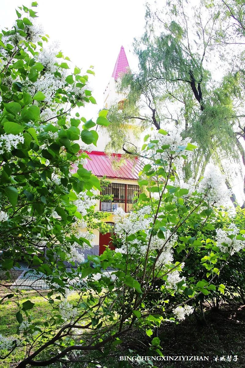 去哈尔滨旅游最应该的地方是哪里?松花江畔的斯大林公园