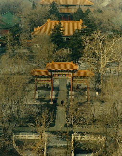 哈尔滨82个景点,北国风光无限好
