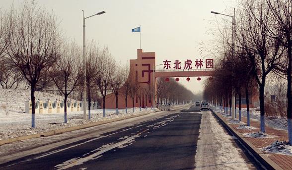 哈尔滨82个景点,北国风光无限好