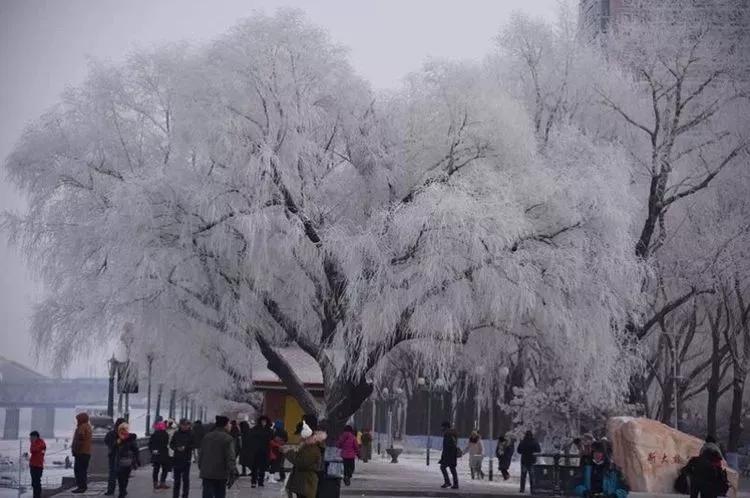 带你玩转冬季哈尔滨！（附旅行全攻略）