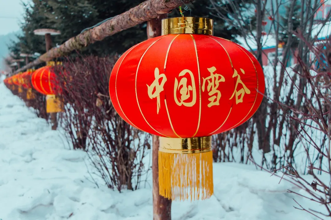 冬季玩雪去哪里？逛商业街、看浪漫雪景？哈尔滨经典游玩路线推荐