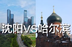 东北的沈阳和哈尔滨哪个城市好？