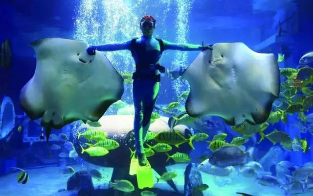哈尔滨的100个“第一”,来冰城旅游,知道10个的算你牛