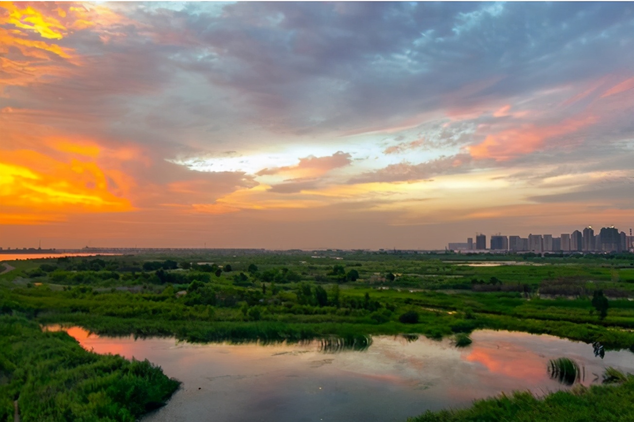 哈尔滨有一“巨无霸”公园，面积419公顷，人称“旅游新亮点”
