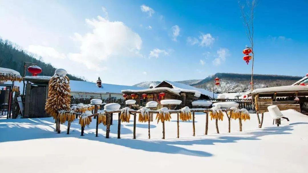 去哈尔滨吧,看青山白头,看红墙飘雪。玩转冬日恋歌