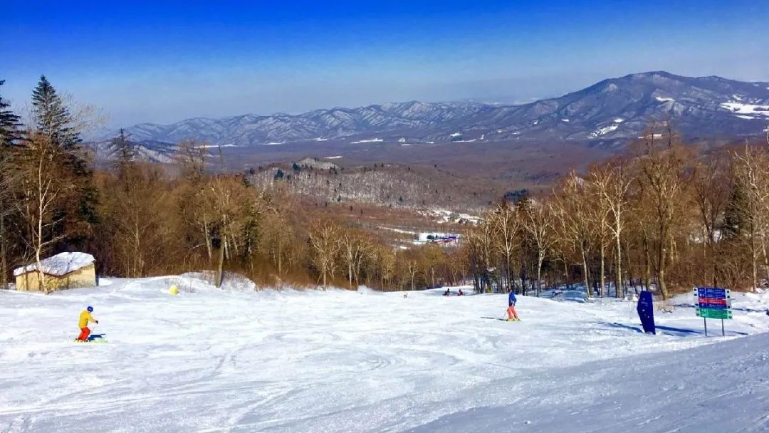 去哈尔滨吧，看青山白头，看红墙飘雪。玩转冬日恋歌