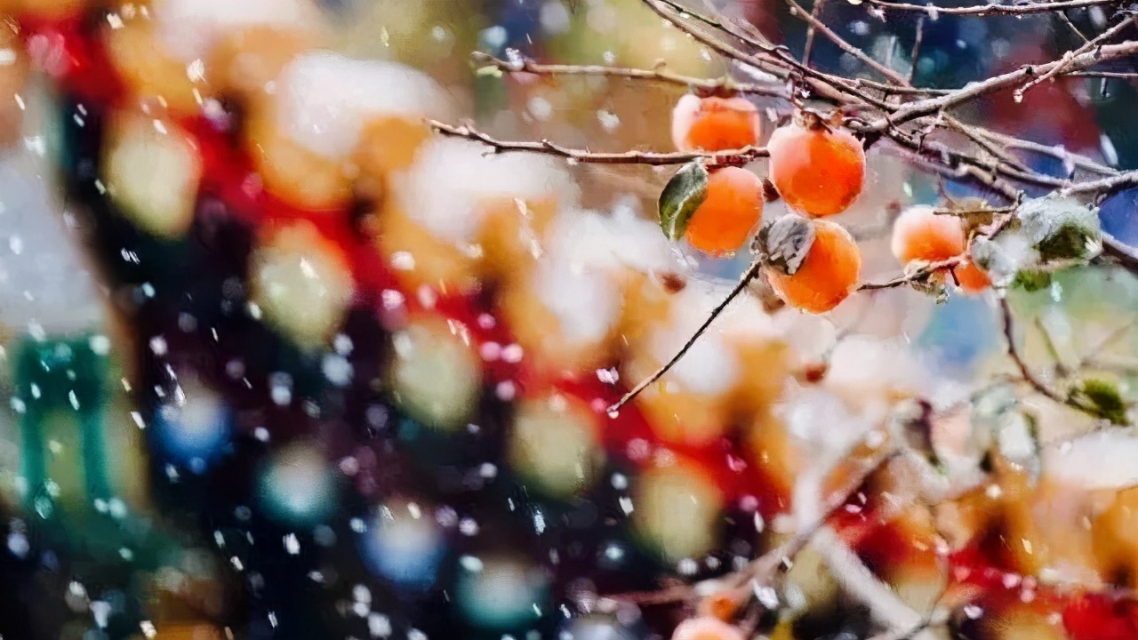 去哈尔滨吧，看青山白头，看红墙飘雪。玩转冬日恋歌