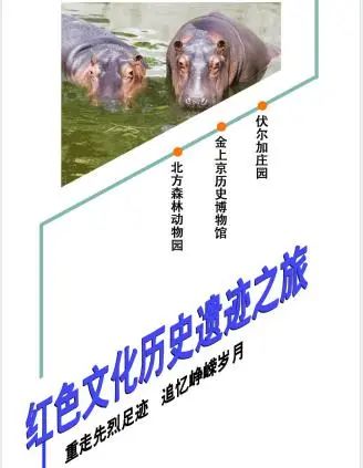 哈尔滨人游哈尔滨|长假怎么玩?都在这张图里了↘