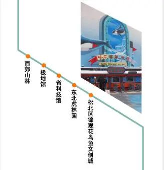 哈尔滨人游哈尔滨|长假怎么玩?都在这张图里了↘