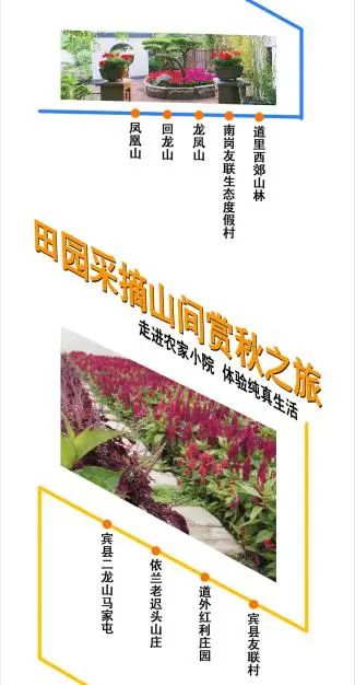 哈尔滨人游哈尔滨|长假怎么玩?都在这张图里了↘