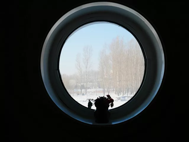 开展一段梦幻哈尔滨之行!哈尔滨小众景点+拍照圣地