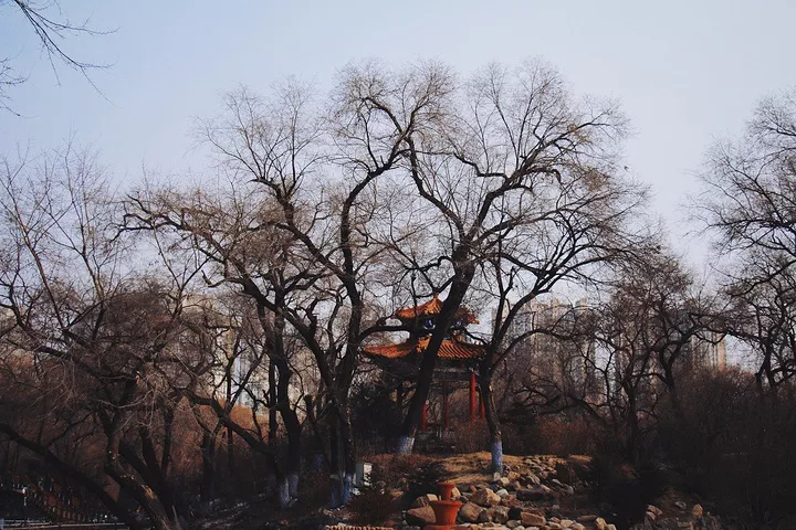 开展一段梦幻哈尔滨之行!哈尔滨小众景点+拍照圣地