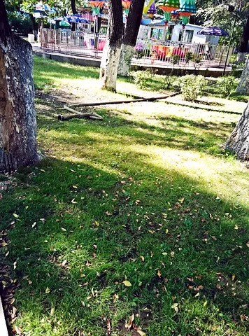 开展一段梦幻哈尔滨之行!哈尔滨小众景点+拍照圣地