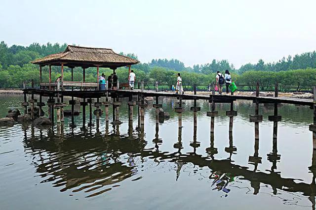 哈尔滨十大旅游景点