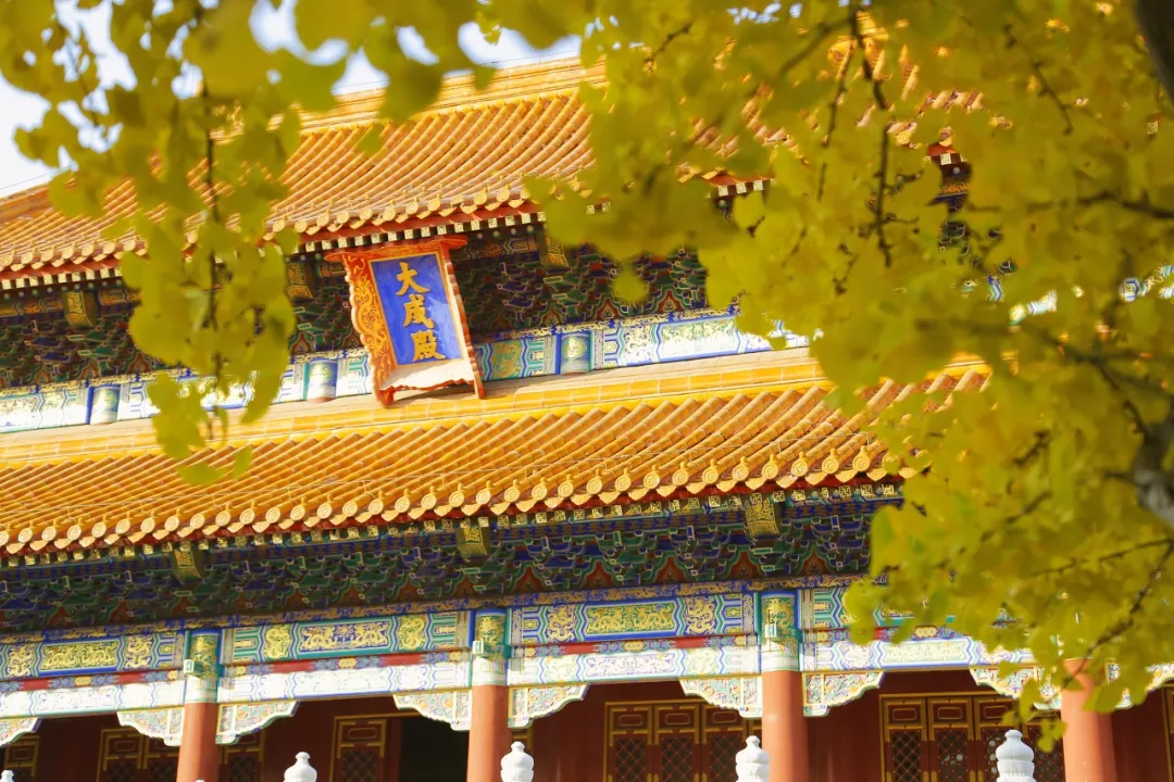 城市周边好去处!清明三天刚刚好!哈市这些打卡地你去过几个?
