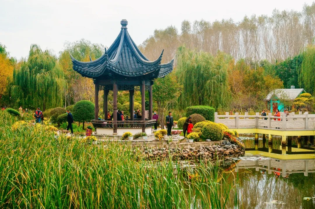 城市周边好去处!清明三天刚刚好!哈市这些打卡地你去过几个?