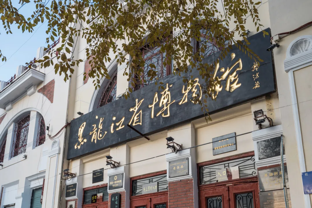 城市周边好去处!清明三天刚刚好!哈市这些打卡地你去过几个?