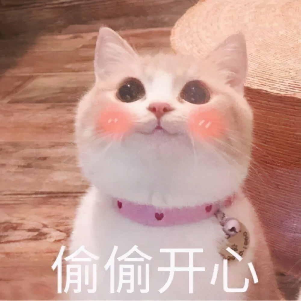 城市周边好去处!清明三天刚刚好!哈市这些打卡地你去过几个?